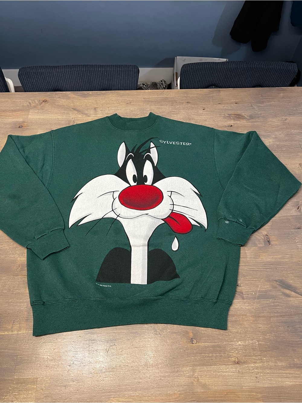 Vintage Looney Tunes Sylvester the Cat Sweatshirt Men's XL Green 90s Warner Bros